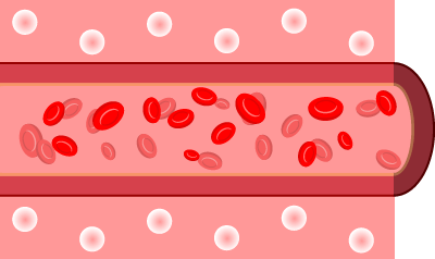 정상 혈관에서 산소와 혈류가 원활히 흐르는 모습